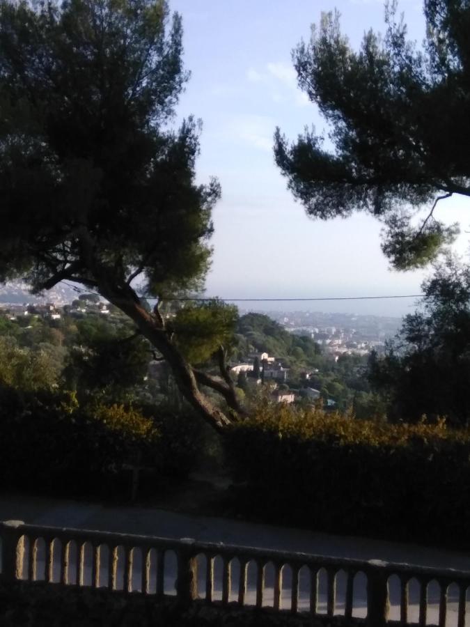 Nice- Gairaut - Jardin Prive- Grand F1 Lumineux-Piscine Collective エクステリア 写真